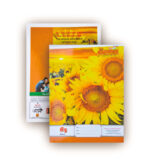 Hawamahal A5 Notebook