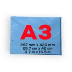A3