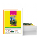 Hawamahal A4 Notebook Ruled || 29cm x 21 cm || (Copy) (Copy) (Copy) (Copy) - Image 4
